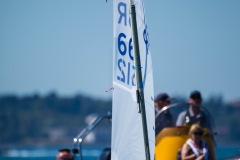 U9A9229