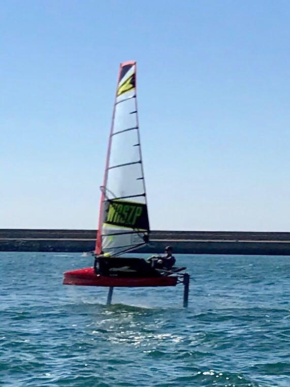 Flying Wasp in Dun Laoghaire Harbour